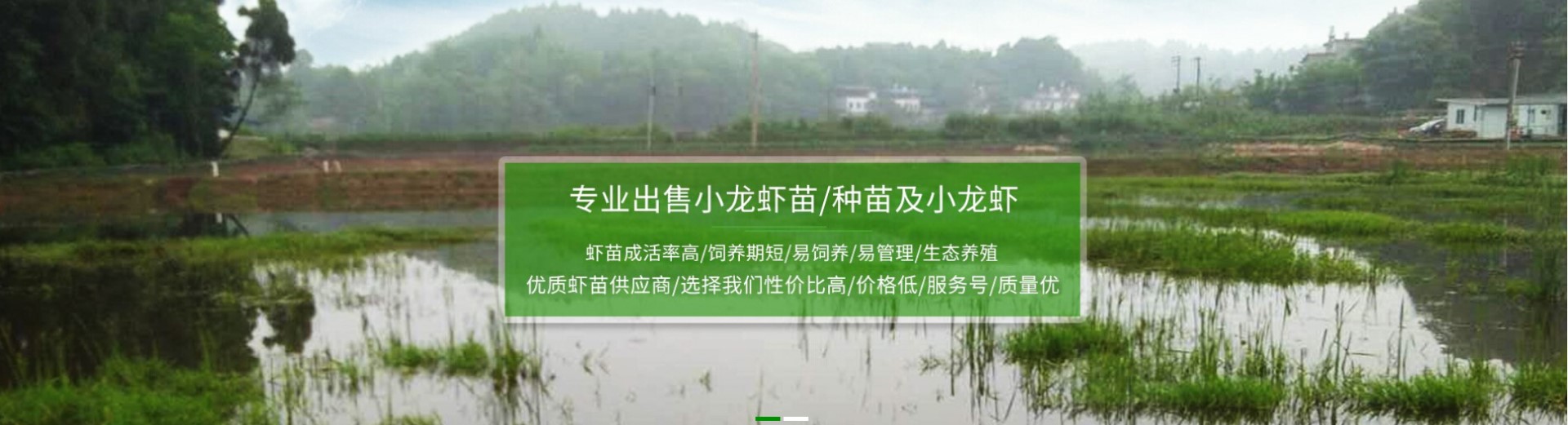 水产养殖企业响应式网站模板案例