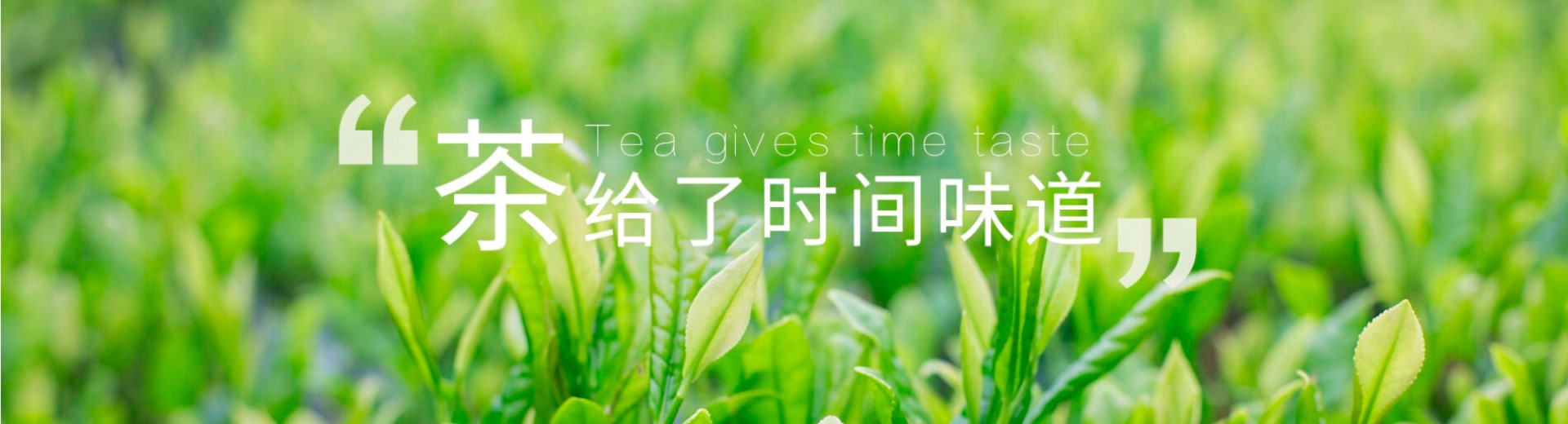 茶叶公司响应式网页网站建设案例