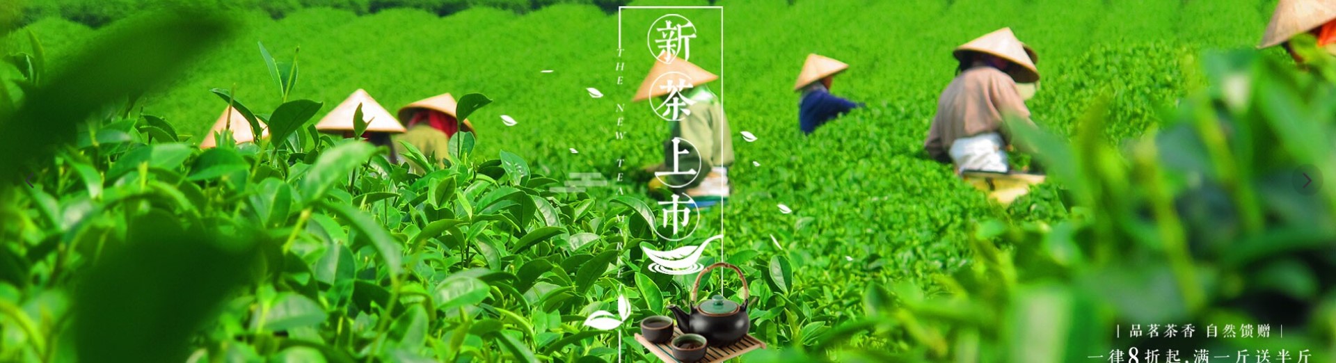 茶叶公司响应式网站建设案例